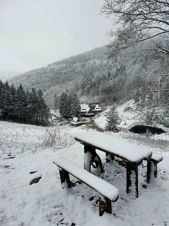 Apartament Mountains Gory Sowie Jugow Экстерьер фото
